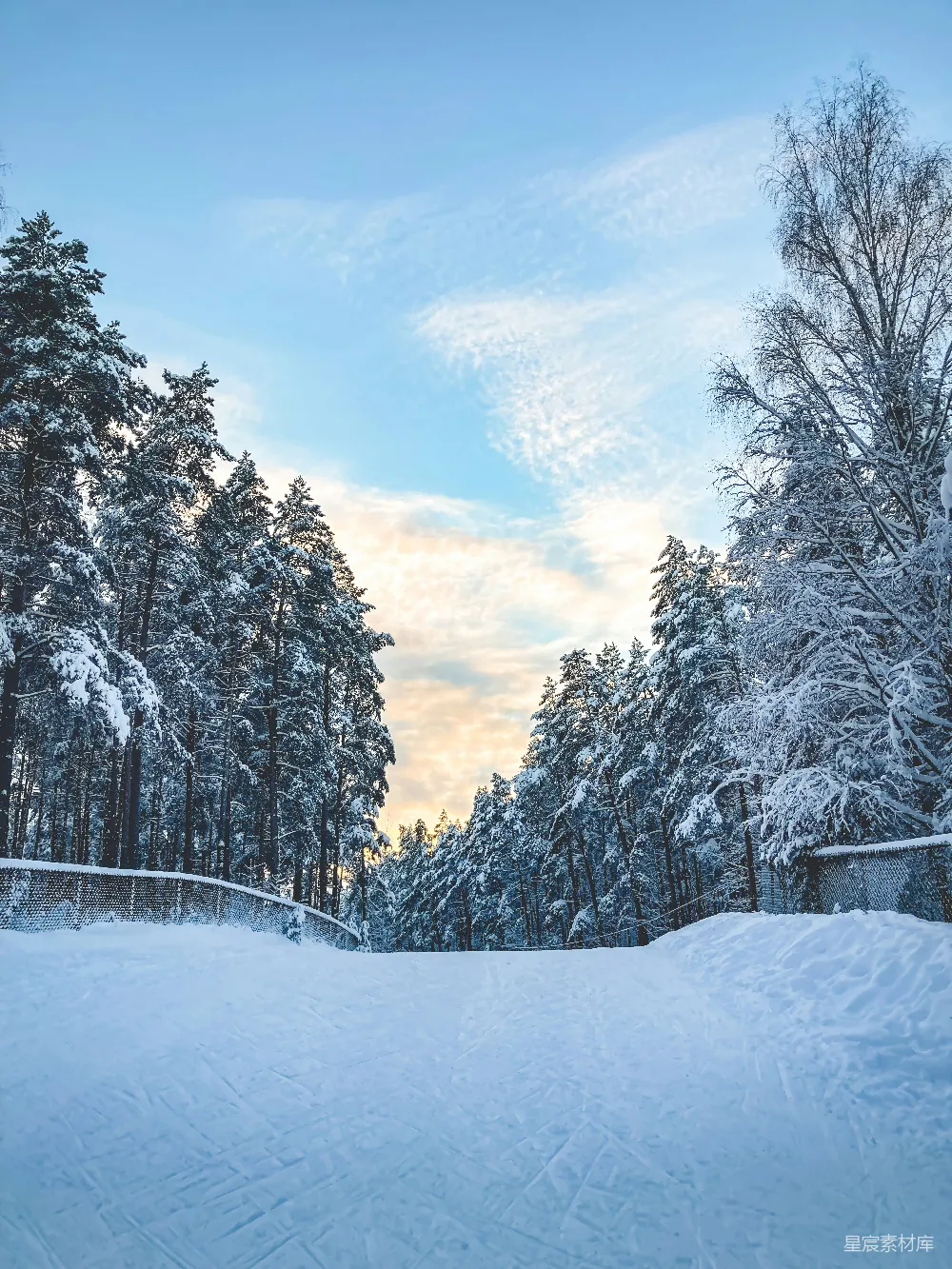 高清摄影 冬季 雪景 森林 宁静 户外 冬日森林的宁静雪道