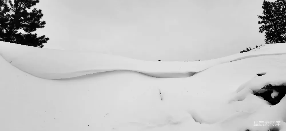 高清摄影 雪地 自然景观 冬季 黑白风格 宁静 雪地中的自然曲线