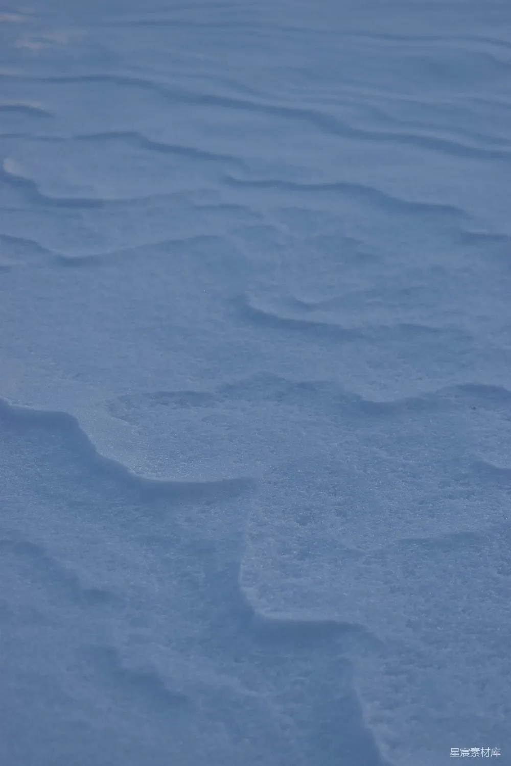 高清摄影 雪地 自然 纹理 宁静 冬季 雪地纹理