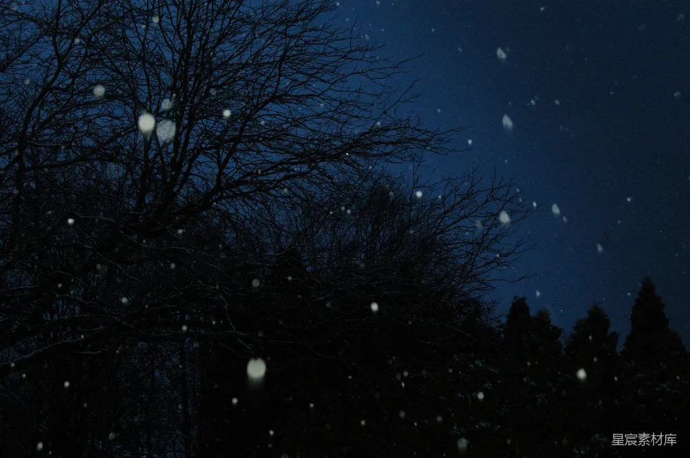 高清摄影 冬夜 雪景 树影 宁静 自然 冬夜飘雪的树影