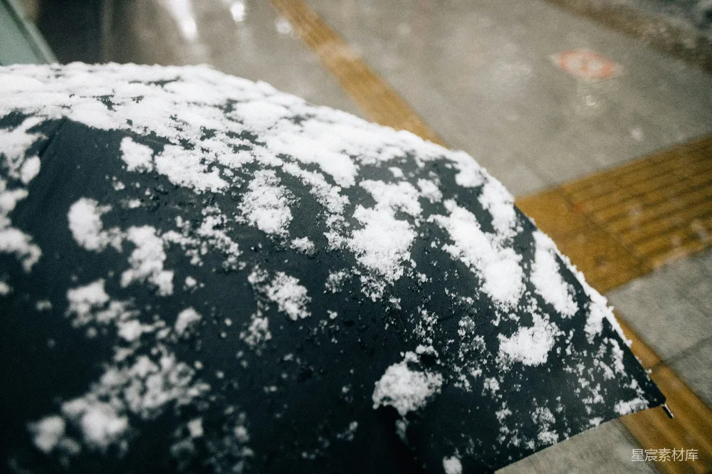 高清摄影 雪 雨伞 冬季 城市 户外 冬日雨伞上的雪花