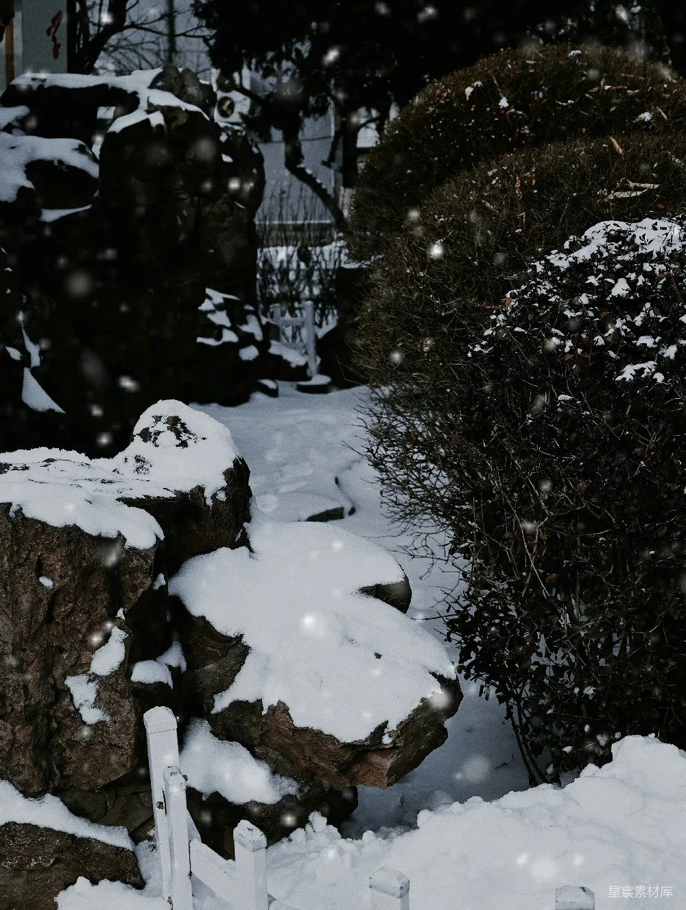 高清摄影 雪景 宁静 花园 冬季 自然 雪后的宁静花园