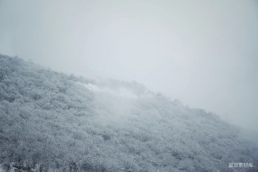 高清摄影 自然 雾景 山林 宁静 冬季 雾中山林