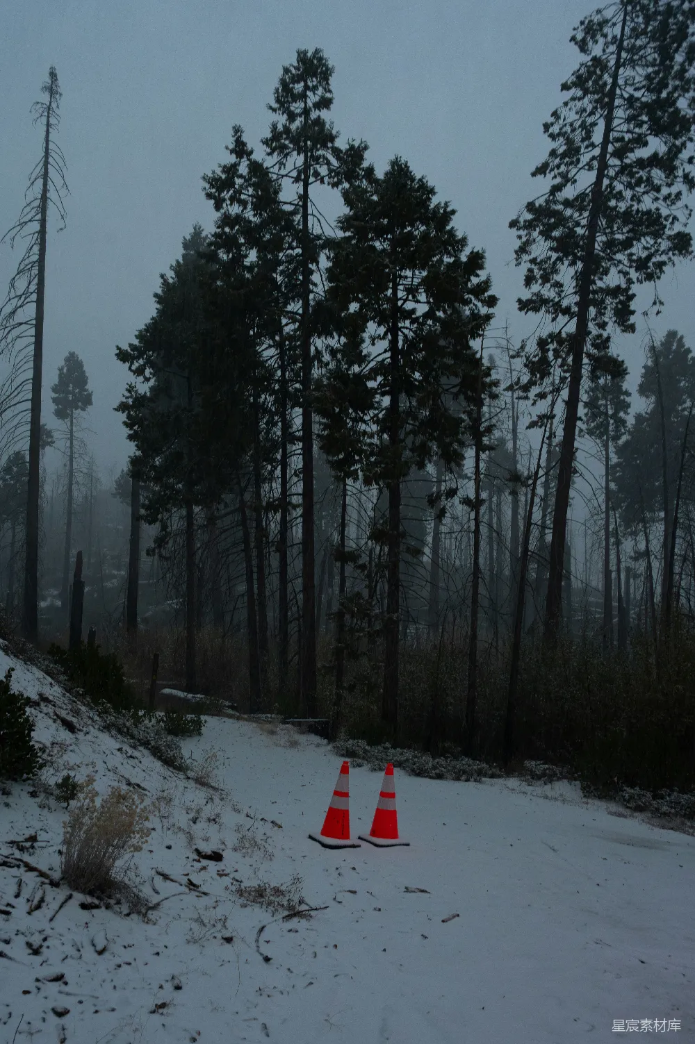 高清摄影 雪地 警示锥 森林 冬季 宁静 雪地中的警示锥