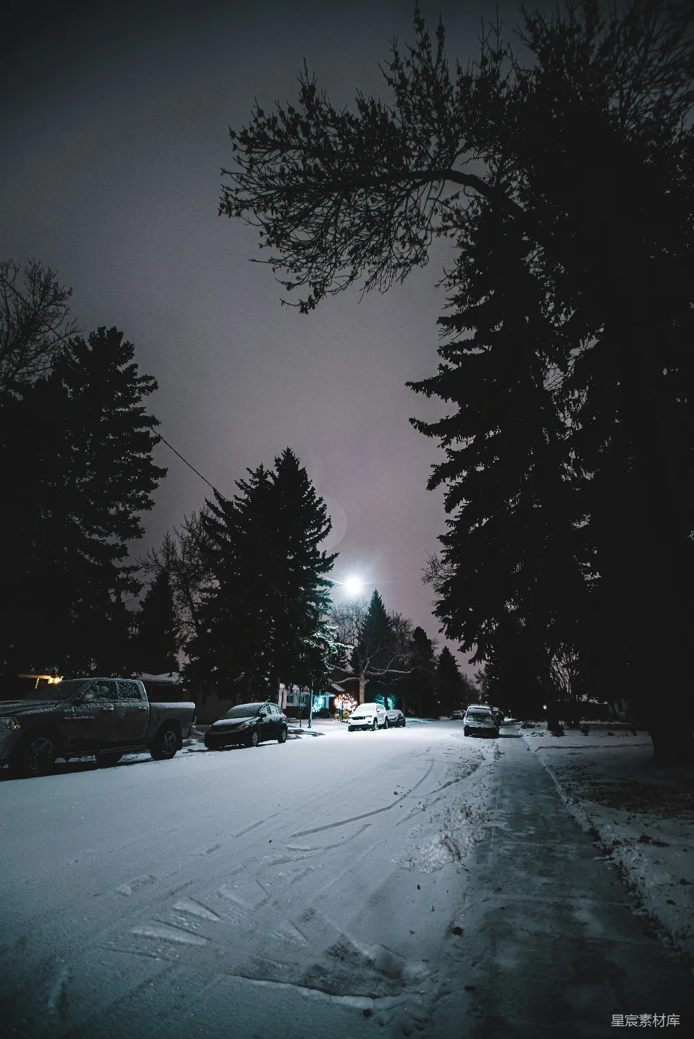 高清摄影 冬夜 雪地 路灯 树木 城市 冬夜雪地中的路灯