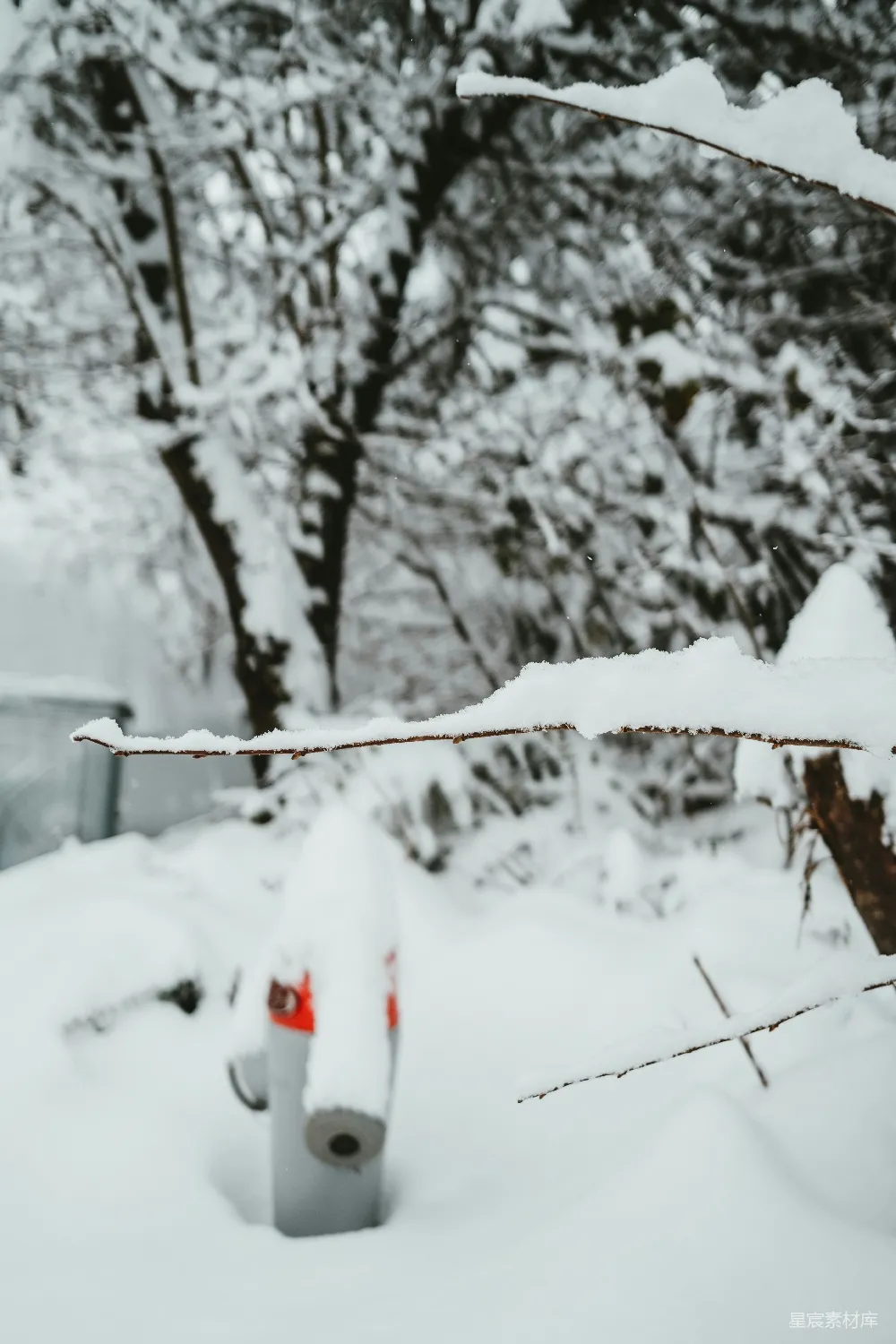 高清摄影 雪景 雪人 冬季 户外 自然 雪景中的雪人