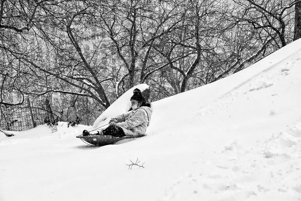 高清摄影 冬季 户外活动 自然风光 童趣 雪景 雪中滑行的欢乐时光