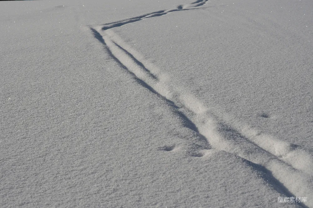 高清摄影 雪地 自然 痕迹 冬季 寒冷 雪地中的痕迹