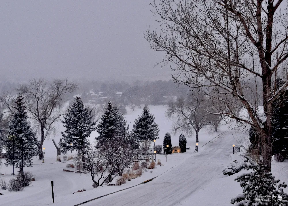 高清摄影 冬景 雪景 宁静 小径 自然 冬日雪景中的宁静小径