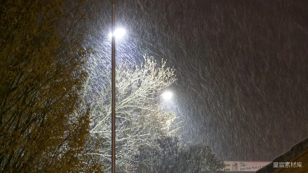 高清摄影 雪景 夜晚 城市 自然 宁静 雪夜中的路灯与树木