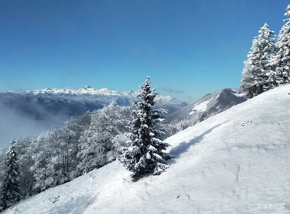高清摄影 雪山 冬季 自然风景 宁静 户外 雪后的山间森林