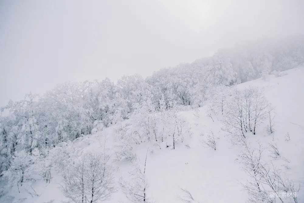 高清摄影 雪景 冬季 自然 山脉 风景 雪覆山林