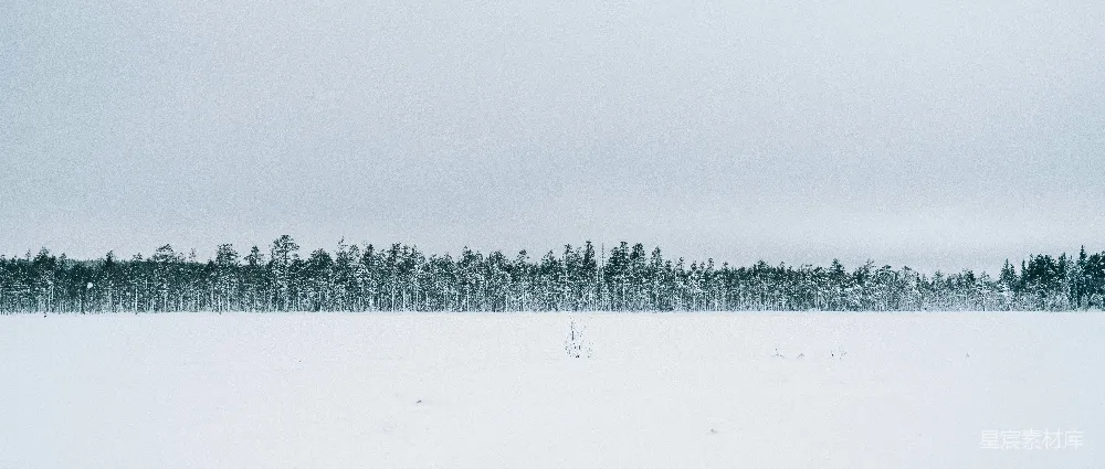 高清摄影 雪景 森林 冬季 纯净 自然 雪地森林