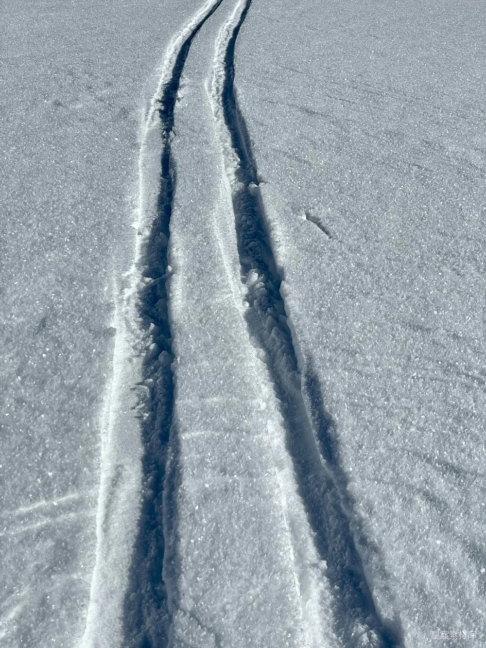 高清摄影 雪地 足迹 自然 冬季 户外 雪地上的足迹