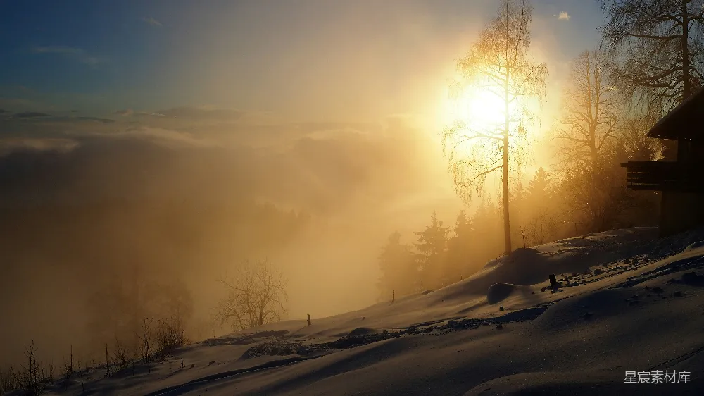 高清摄影 冬日 晨曦 雪景 自然风光 宁静 冬日晨曦
