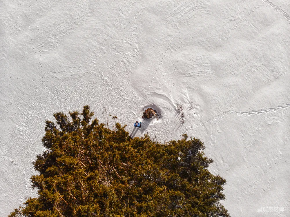 高清摄影 雪地 自然 航拍 宁静 冬景 雪地中的小树与人影