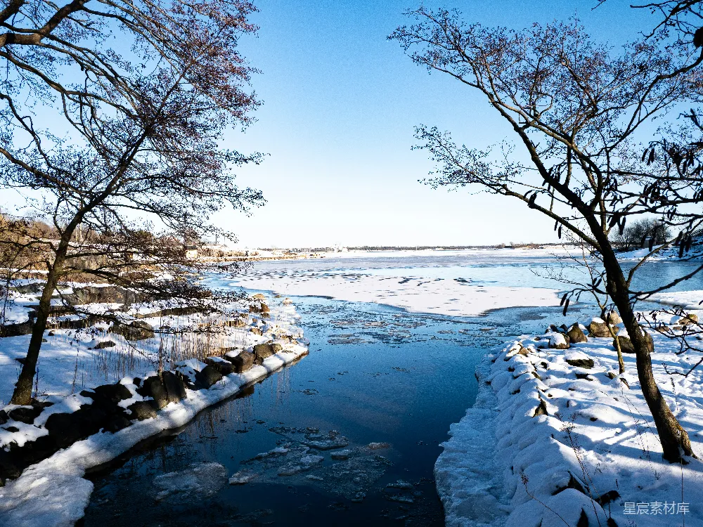 高清摄影 冬日 湖畔 雪景 宁静 自然 冬日湖畔的宁静