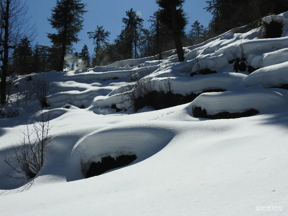 高清摄影 冬日 雪景 自然 森林 宁静 冬日雪景中的自然小溪