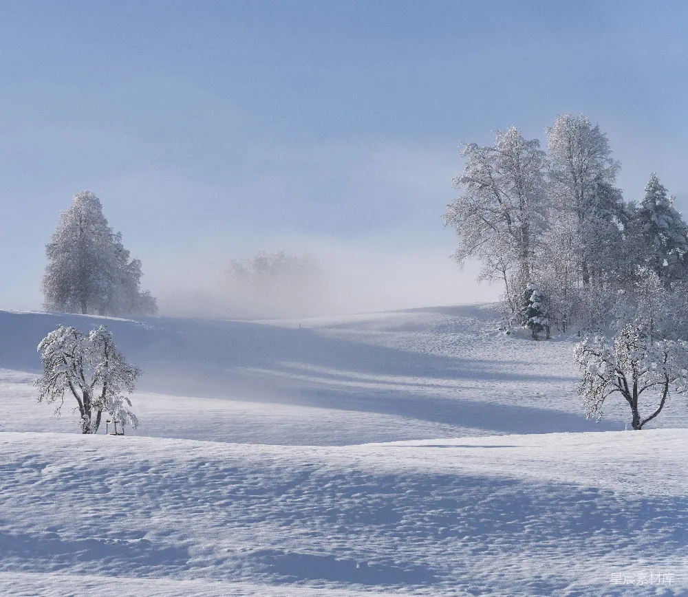 高清摄影 雪景 冬季 自然风光 宁静 户外 冬日雪景：雾气缭绕的山丘
