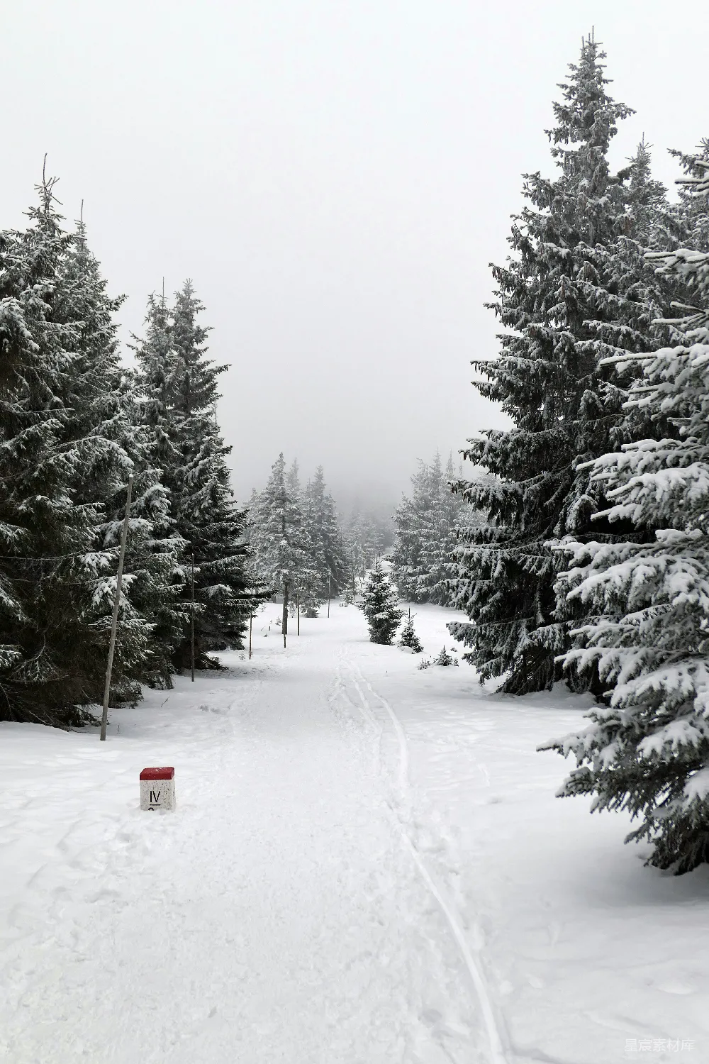 高清摄影 雪景 森林 小径 冬季 宁静 雪中的森林小径