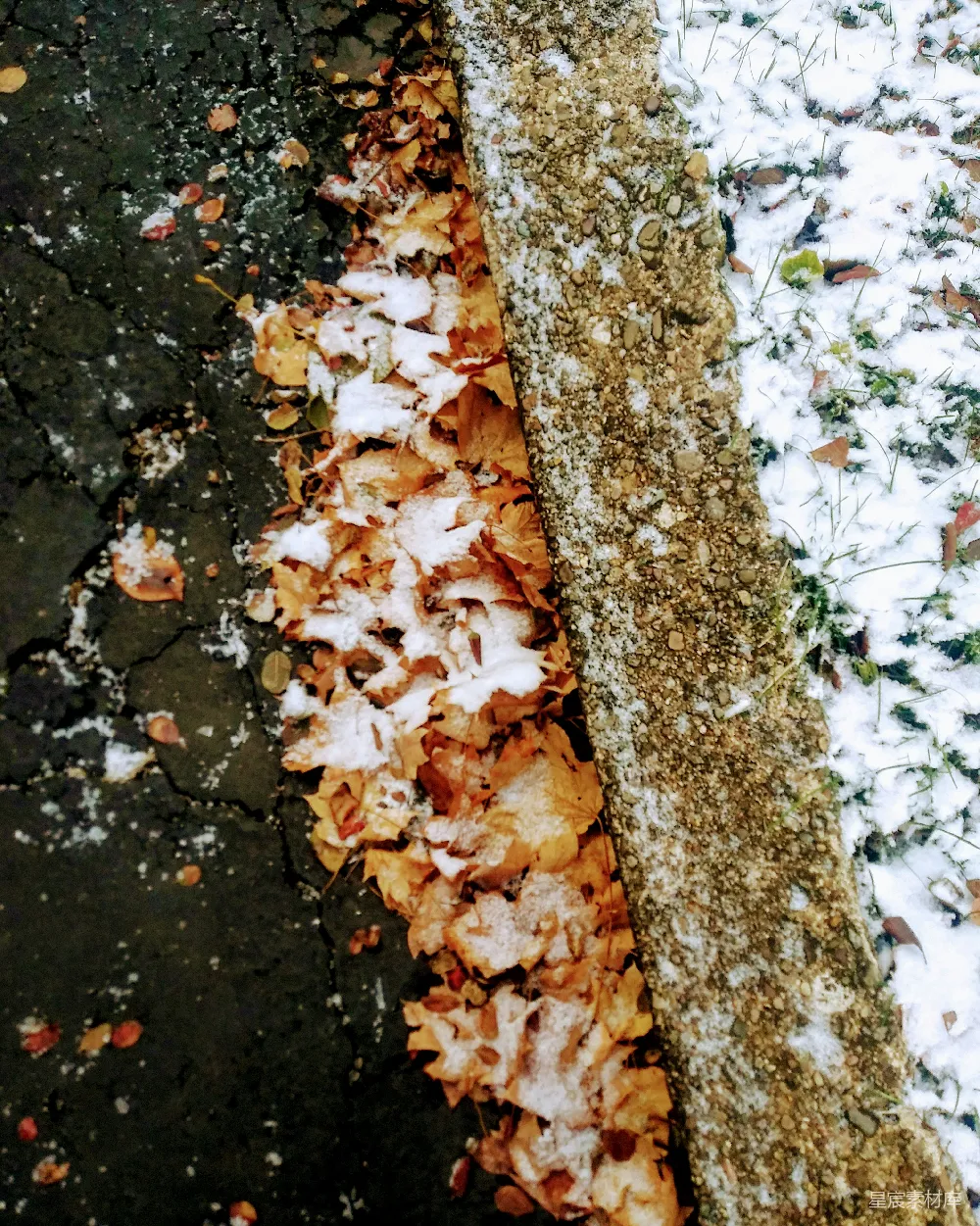 高清摄影 落叶 雪景 自然 冬日 静谧 雪中的落叶与石墙