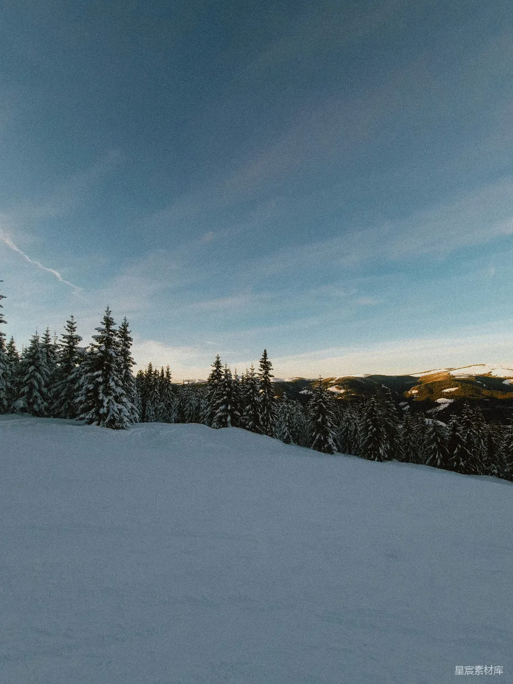 高清摄影 雪景 森林 宁静 冬季 自然 雪后的宁静森林