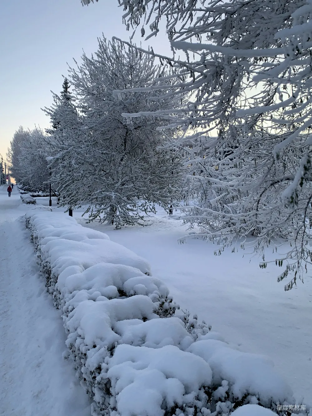 高清摄影 冬日 雪景 小径 宁静 自然 冬日雪景中的宁静小径