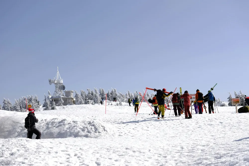 高清摄影 滑雪 冬季运动 户外活动 自然风景 休闲娱乐 雪地上的滑雪者