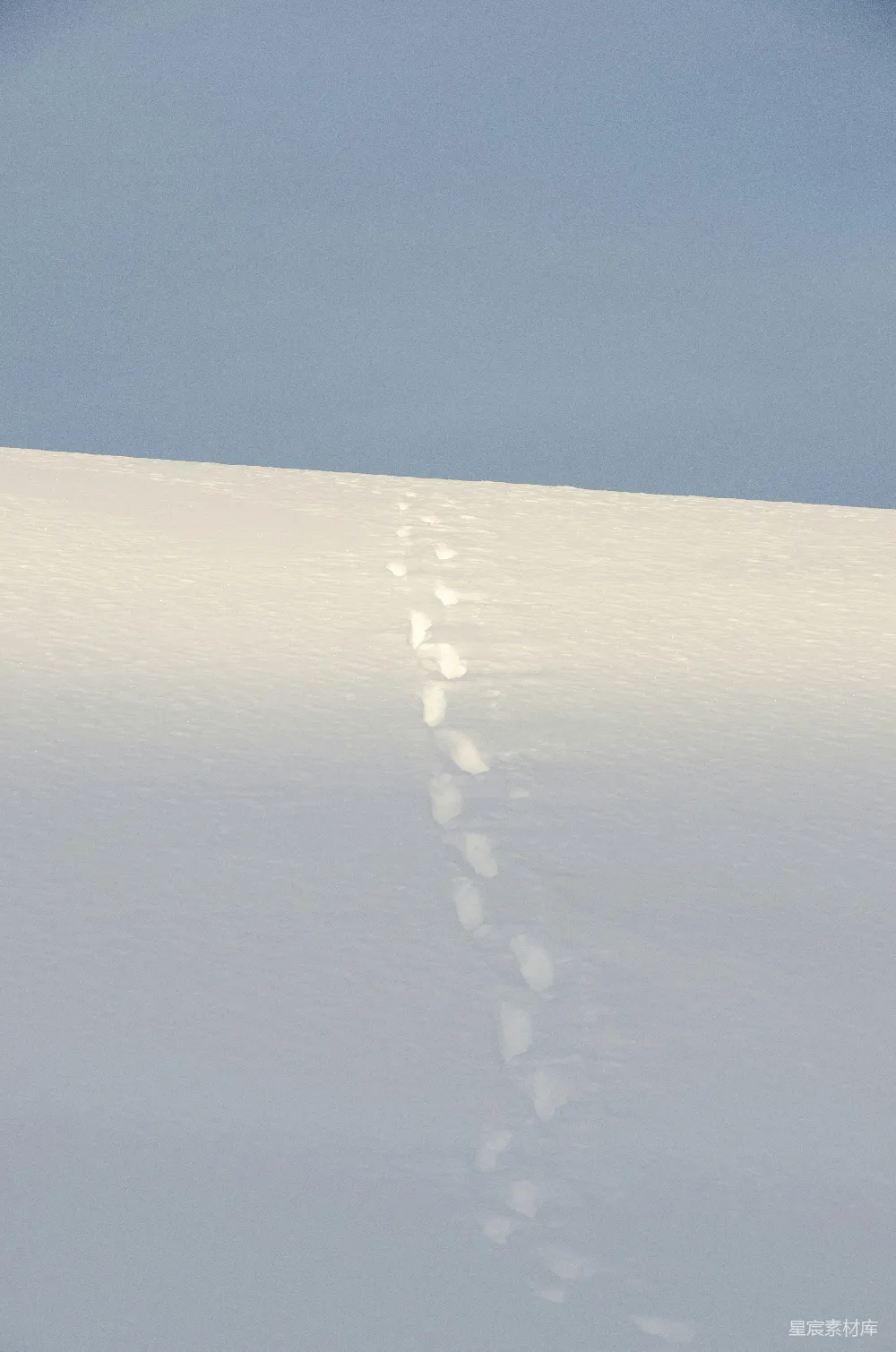 高清摄影 雪地 足迹 宁静 自然 冬季 雪地上的足迹