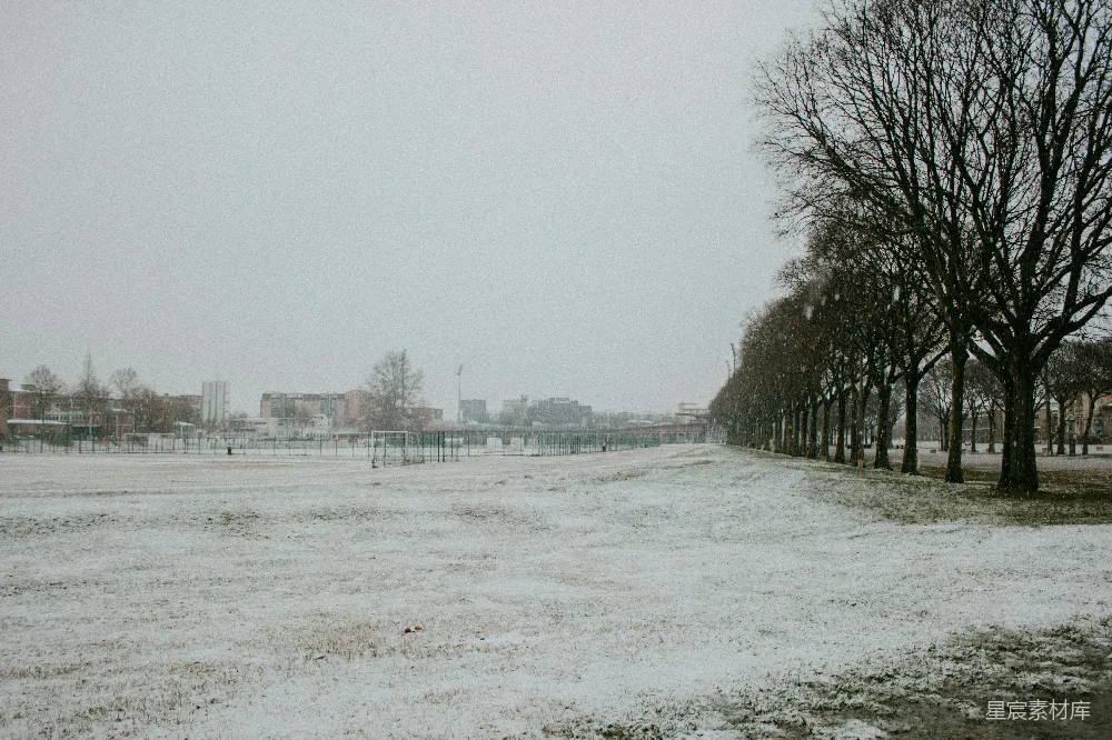 高清摄影 冬季 雪景 城市公园 自然风光 宁静 冬日雪景下的城市公园