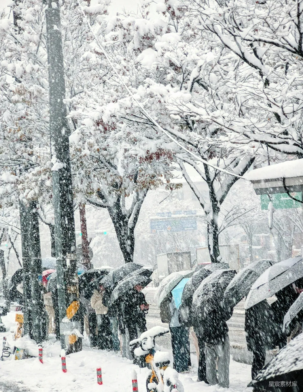 高清摄影 雪景 冬季 城市 行人 自然 冬日雪景中的行人