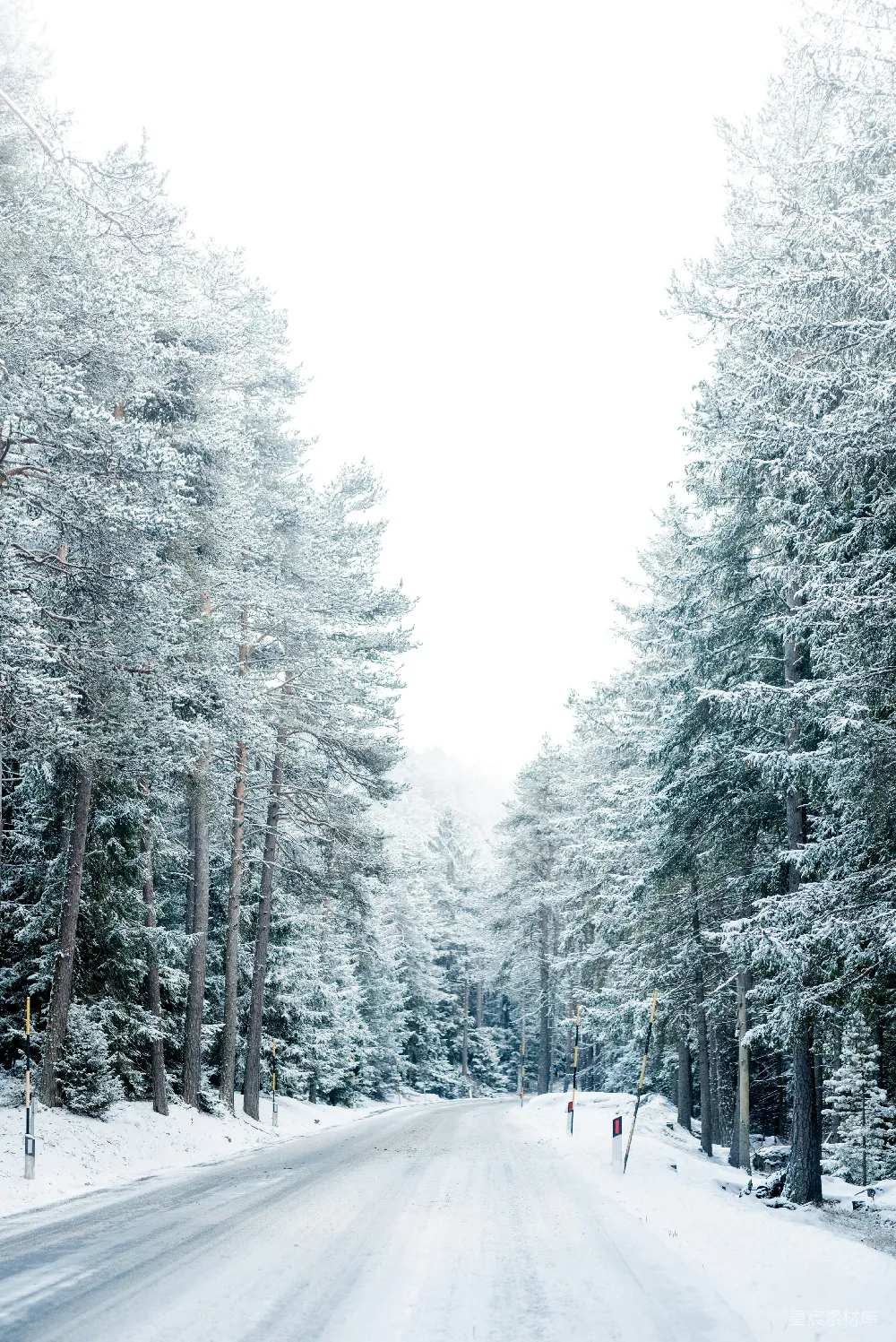 高清摄影 冬季 森林 雪景 宁静 自然 雪后森林中的宁静小路
