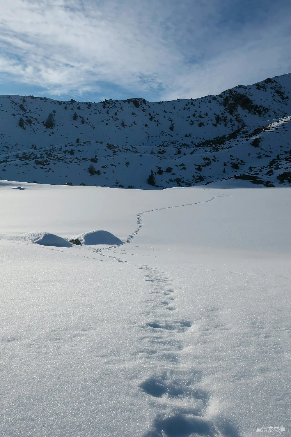 高清摄影 雪地 足迹 自然 冬季 户外 雪地中的足迹