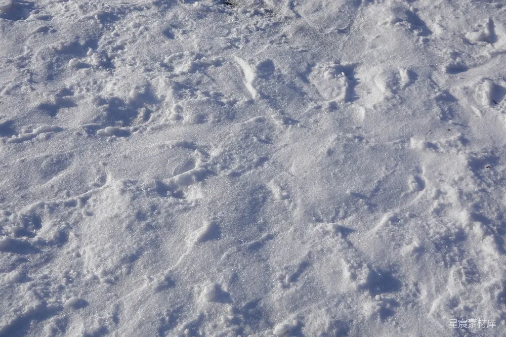 高清摄影 雪地 动物足迹 自然 户外 冬季 雪地上的足迹