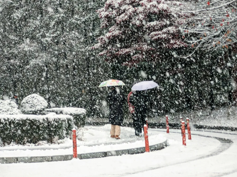 高清摄影 雪景 冬季 公园 休闲 自然 雪中漫步