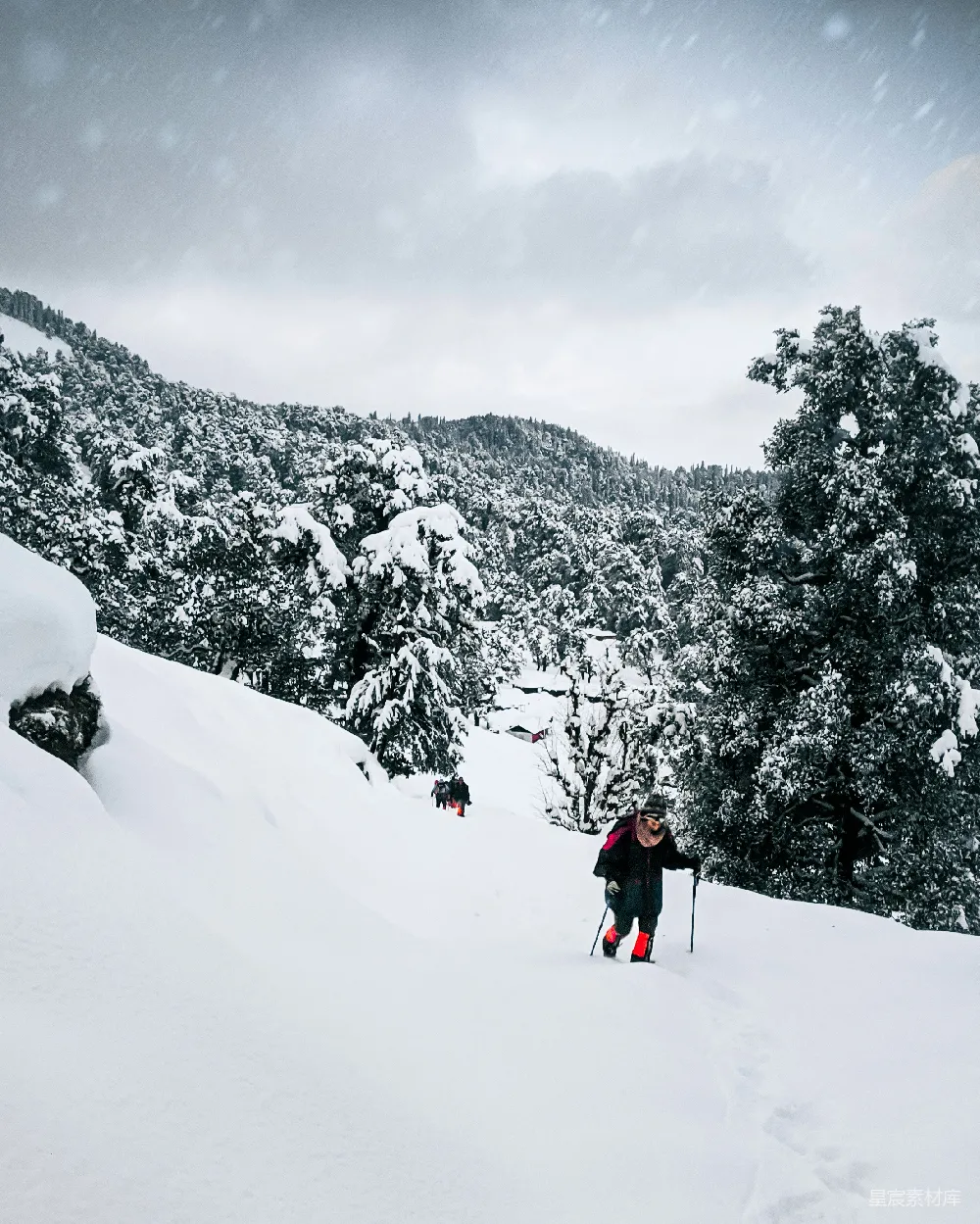 高清摄影 雪地 徒步 自然 探险 冬季 雪地徒步探险