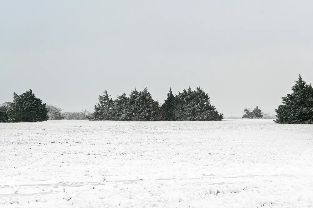 高清摄影 雪景 冬季 乡村 宁静 自然 冬日雪景：宁静的田野