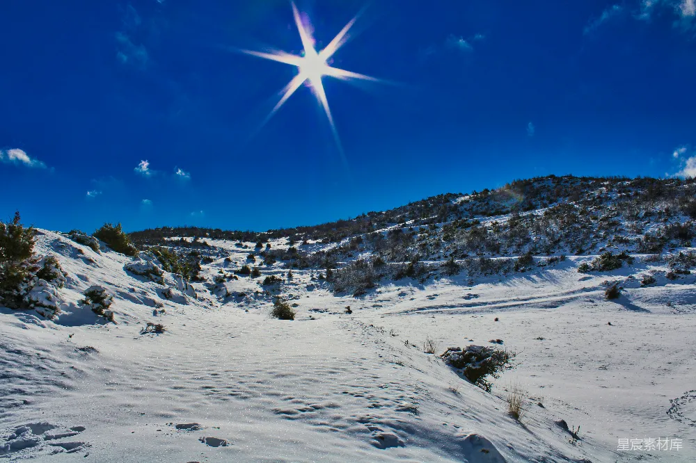 高清摄影 雪景 冬季 阳光 自然 户外 冬日阳光下的雪景