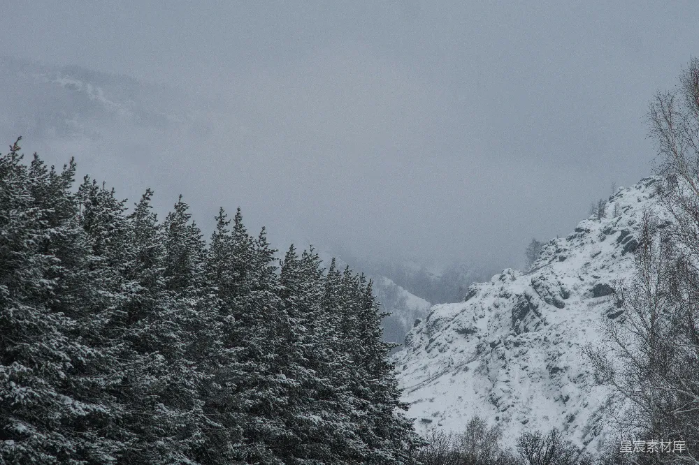 高清摄影 雪景 山林 冬季 自然风光 宁静 雪后的山林