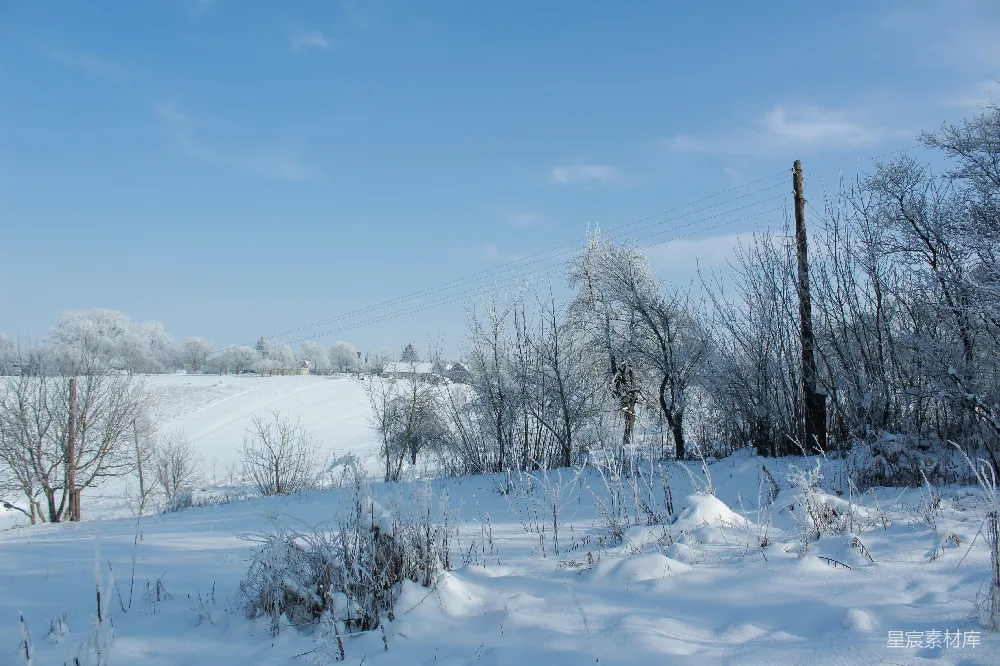 高清摄影 冬季 乡村 雪景 自然 宁静 冬日乡村雪景