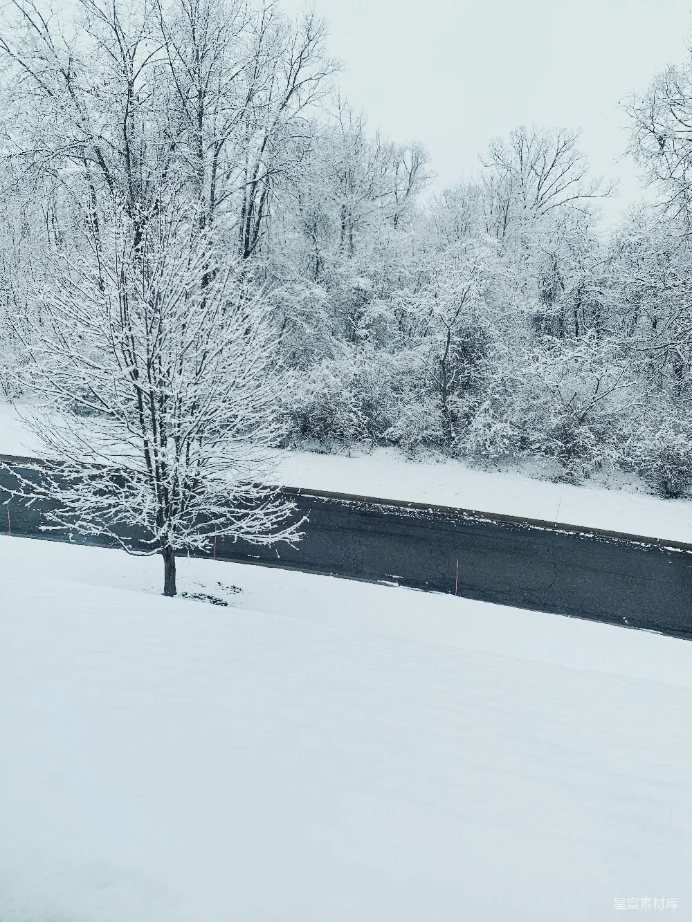高清摄影 冬季 雪景 道路 自然 宁静 雪后的宁静道路