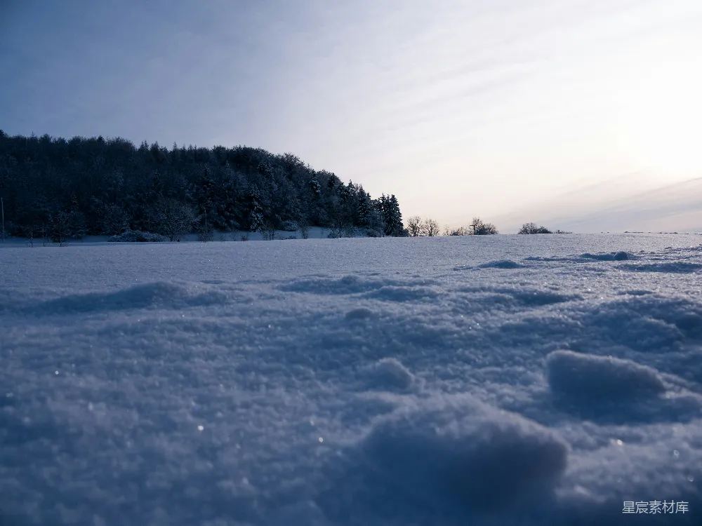 高清摄影 雪景 宁静 自然 冬日 森林 冬日雪景下的宁静森林