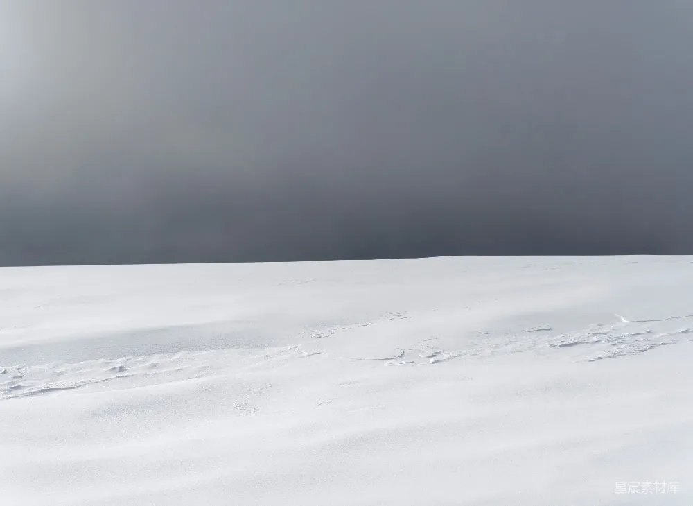高清摄影 雪地 足迹 宁静 冬季 自然 雪地上的足迹