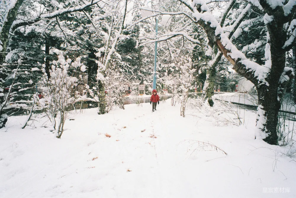 高清摄影 雪景 儿童 自然 冬日 户外 雪地里的童年记忆