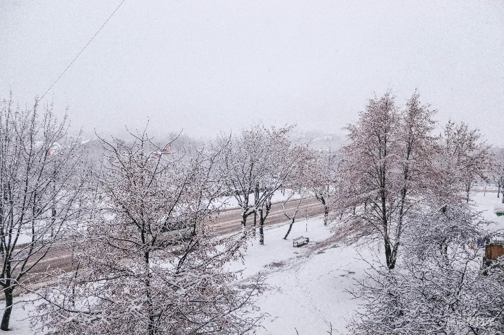 高清摄影 雪景 冬季 自然 城市 宁静 冬日雪景