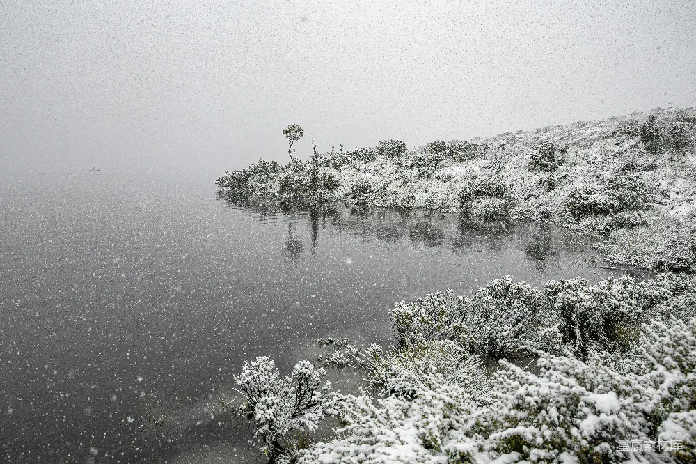 高清摄影 雪景 湖畔 冬季 自然风光 宁静 冬日湖畔雪景