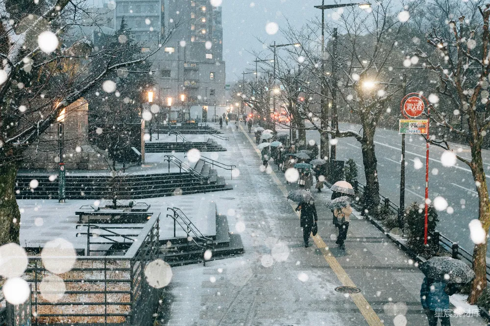 高清摄影 雪景 城市 冬季 行人 街头 雪中的城市街道