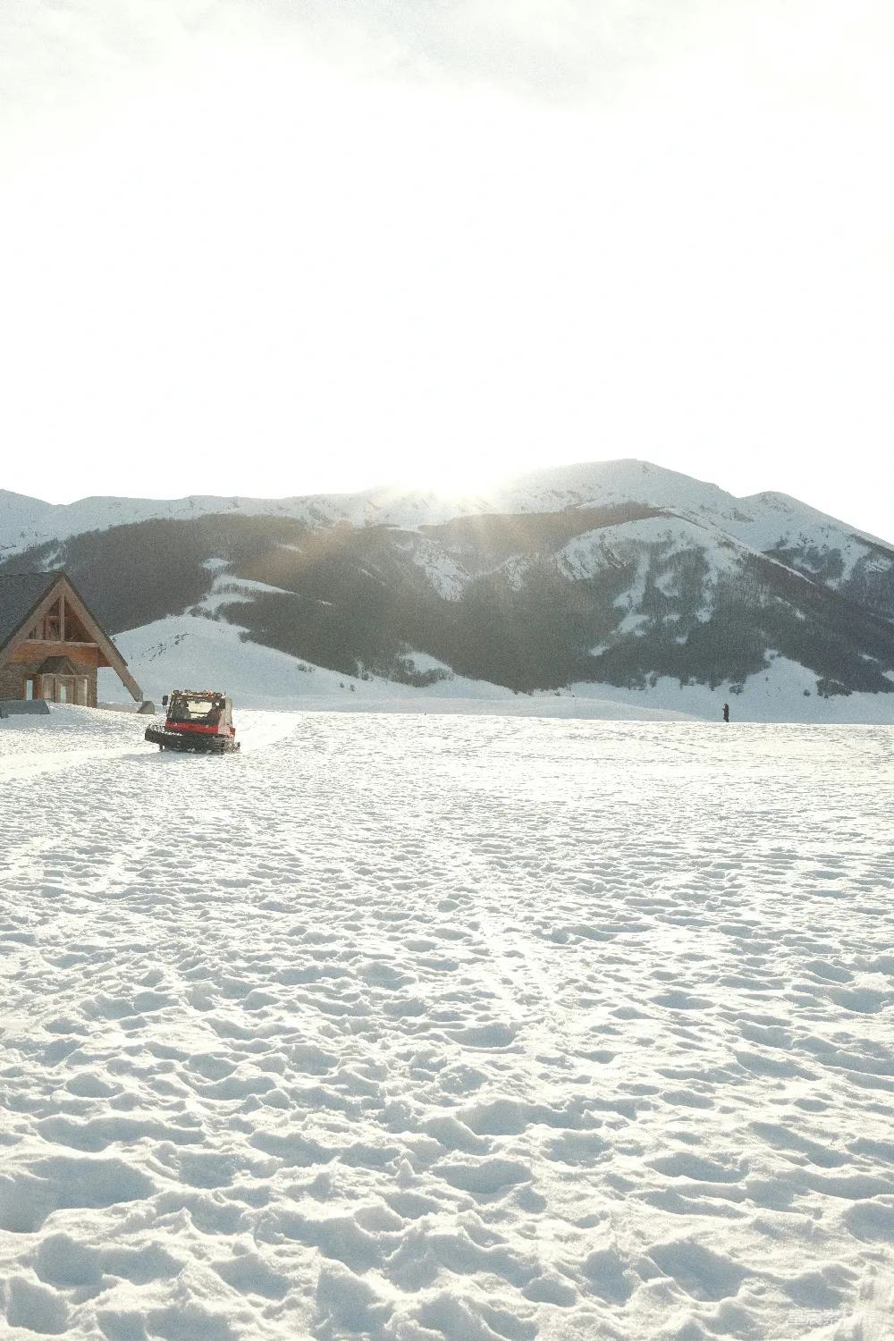 高清摄影 雪景 冬季 自然风光 宁静 户外 雪地上的宁静时光