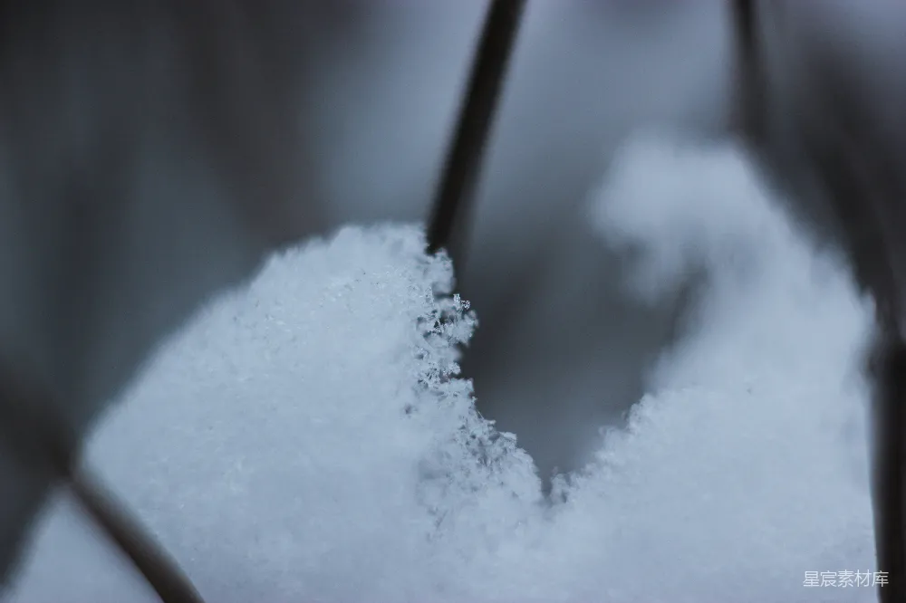 高清摄影 雪景 冬季 自然 纯净 寒冷 冬日雪景特写