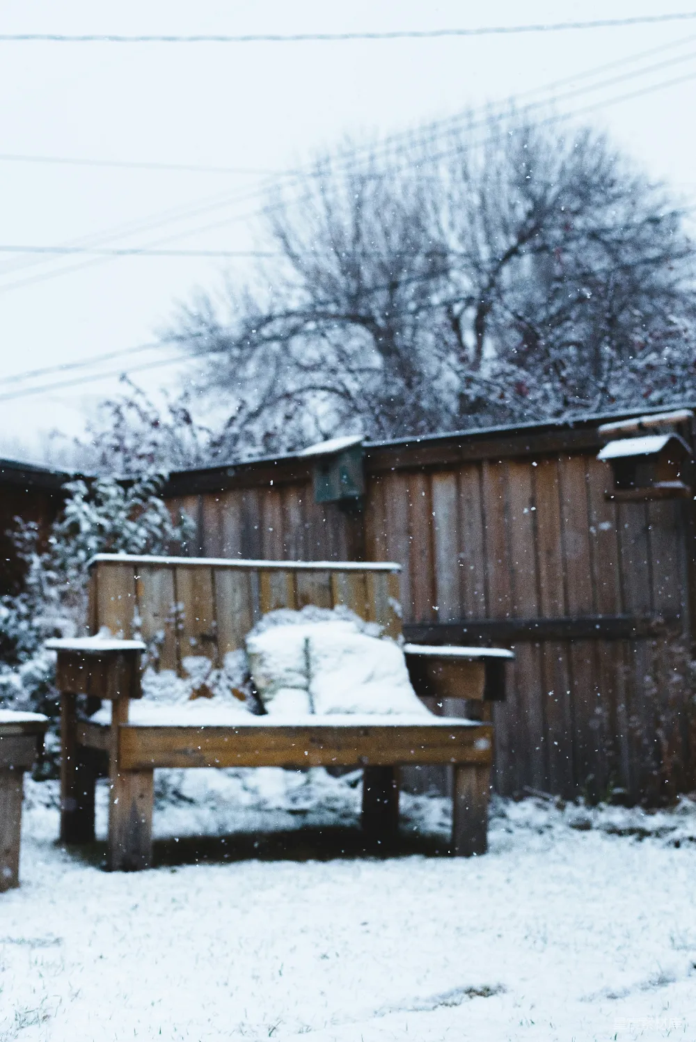 高清摄影 雪景 花园 长椅 冬季 自然 冬日雪景中的花园长椅